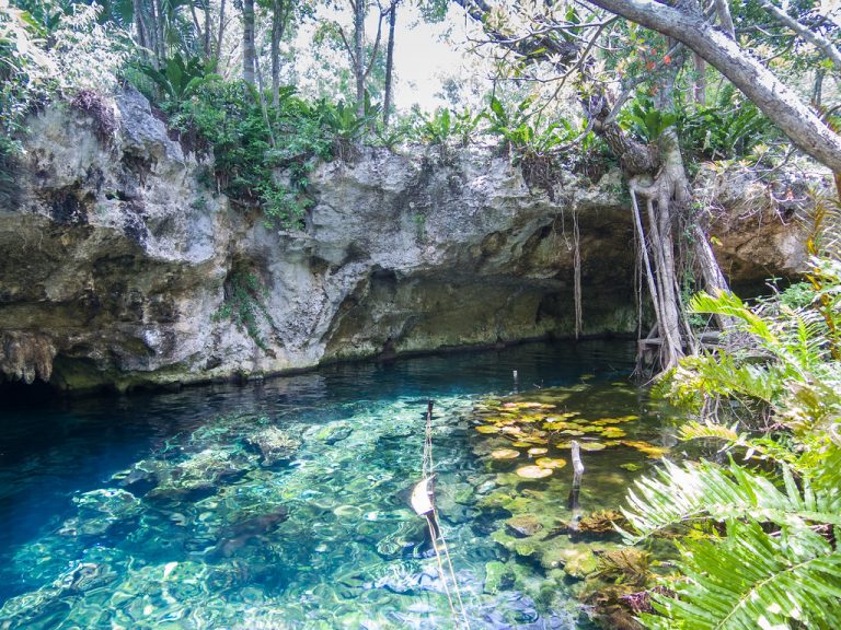 Voyage au Mexique : partir à la découverte du Gran Cenote